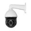 DM IP LASER 300