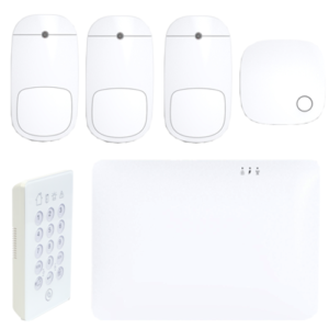 KIT SHEPHERD EXECUTIVE